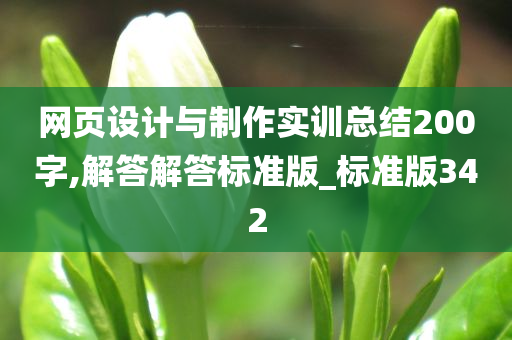 网页设计与制作实训总结200字,解答解答标准版_标准版342