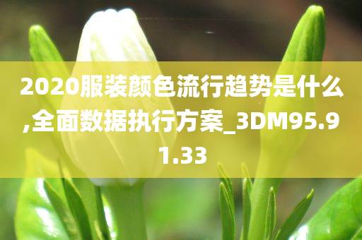 2020服装颜色流行趋势是什么,全面数据执行方案_3DM95.91.33