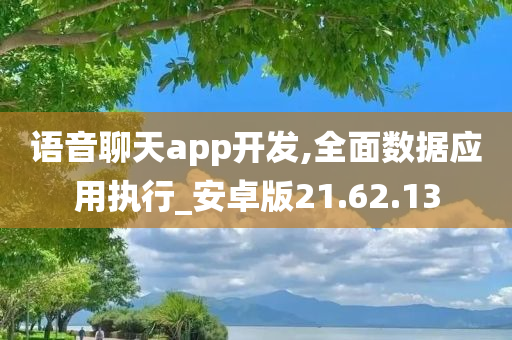 语音聊天app开发,全面数据应用执行_安卓版21.62.13