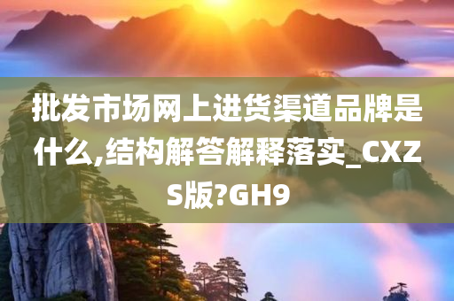 批发市场网上进货渠道品牌是什么,结构解答解释落实_CXZS版?GH9