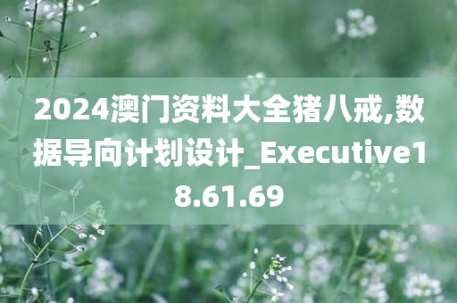 2024澳门资料大全猪八戒,数据导向计划设计_Executive18.61.69