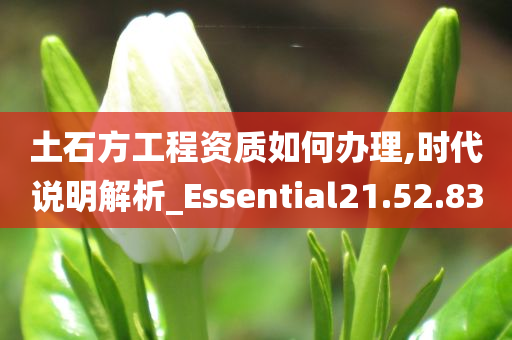 土石方工程资质如何办理,时代说明解析_Essential21.52.83