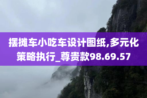 摆摊车小吃车设计图纸,多元化策略执行_尊贵款98.69.57