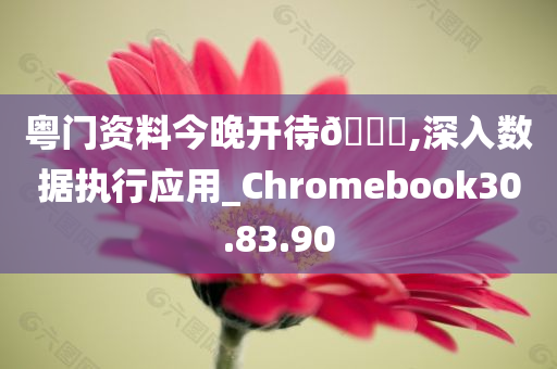 粤门资料今晚开待🐎,深入数据执行应用_Chromebook30.83.90