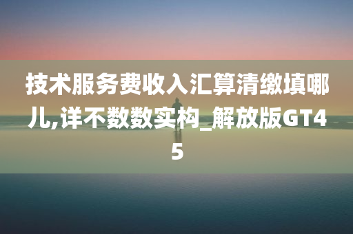 技术服务费收入汇算清缴填哪儿,详不数数实构_解放版GT45