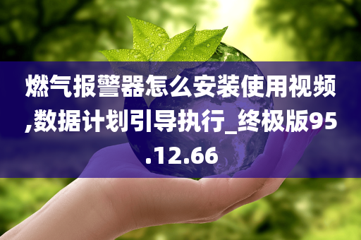 燃气报警器怎么安装使用视频,数据计划引导执行_终极版95.12.66