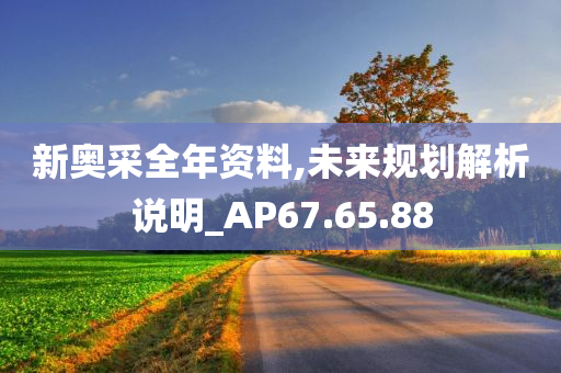 新奥采全年资料,未来规划解析说明_AP67.65.88