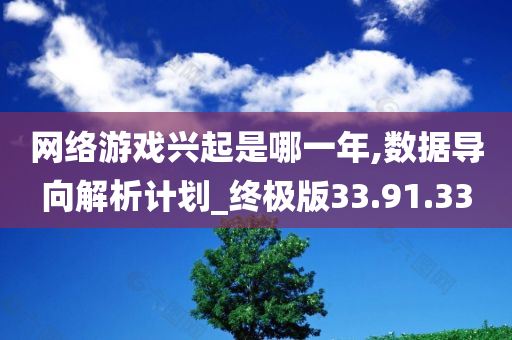 网络游戏兴起是哪一年,数据导向解析计划_终极版33.91.33