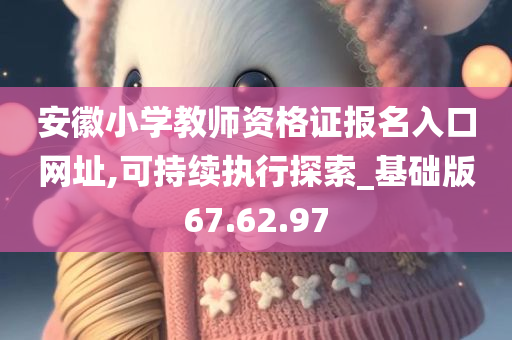 安徽小学教师资格证报名入口网址,可持续执行探索_基础版67.62.97