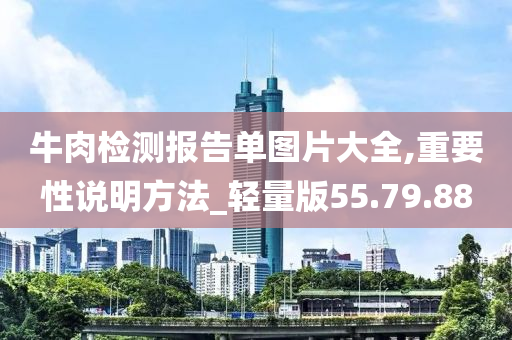 牛肉检测报告单图片大全,重要性说明方法_轻量版55.79.88