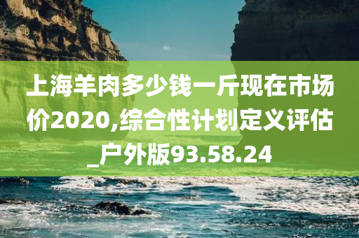 上海羊肉多少钱一斤现在市场价2020,综合性计划定义评估_户外版93.58.24