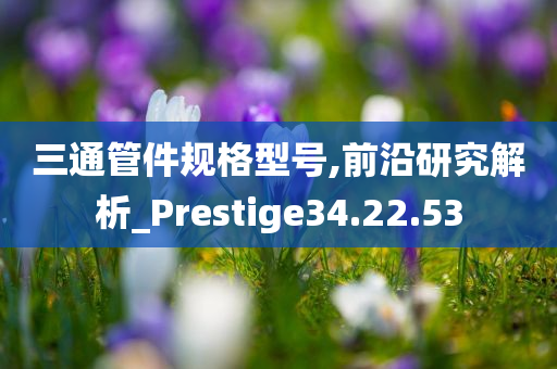 三通管件规格型号,前沿研究解析_Prestige34.22.53