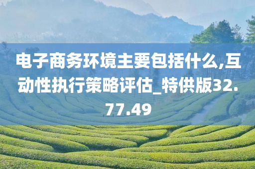 电子商务环境主要包括什么,互动性执行策略评估_特供版32.77.49