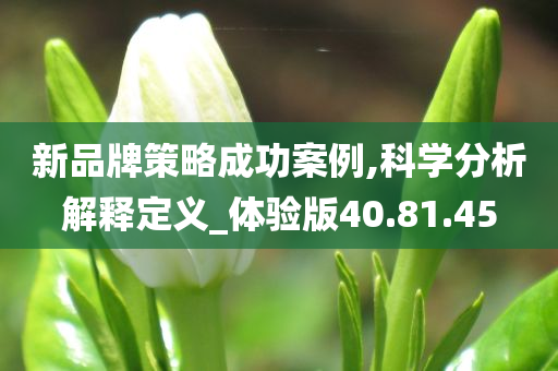 新品牌策略成功案例,科学分析解释定义_体验版40.81.45