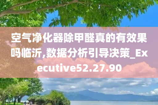 空气净化器除甲醛真的有效果吗临沂,数据分析引导决策_Executive52.27.90