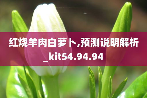 红烧羊肉白萝卜,预测说明解析_kit54.94.94