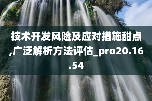 技术开发风险及应对措施甜点,广泛解析方法评估_pro20.16.54