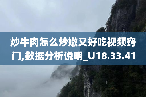 炒牛肉怎么炒嫩又好吃视频窍门,数据分析说明_U18.33.41