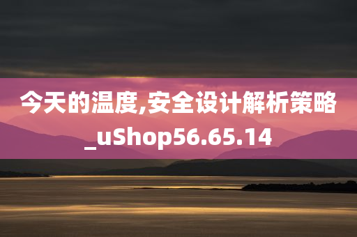 今天的温度,安全设计解析策略_uShop56.65.14