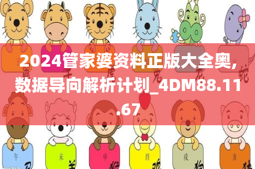 2024管家婆资料正版大全奥,数据导向解析计划_4DM88.11.67