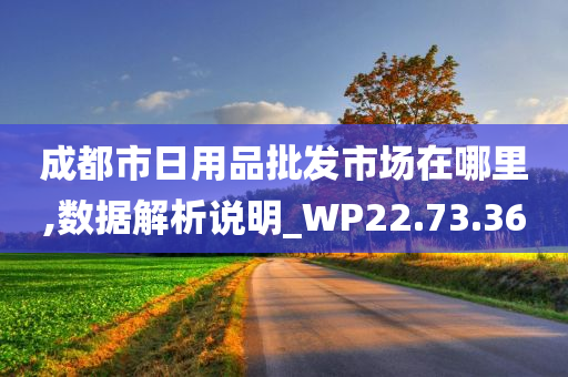 成都市日用品批发市场在哪里,数据解析说明_WP22.73.36