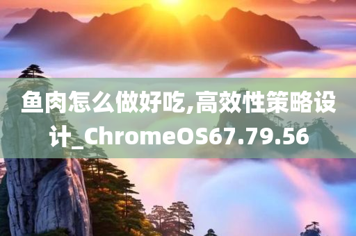 鱼肉怎么做好吃,高效性策略设计_ChromeOS67.79.56