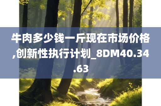 牛肉多少钱一斤现在市场价格,创新性执行计划_8DM40.34.63