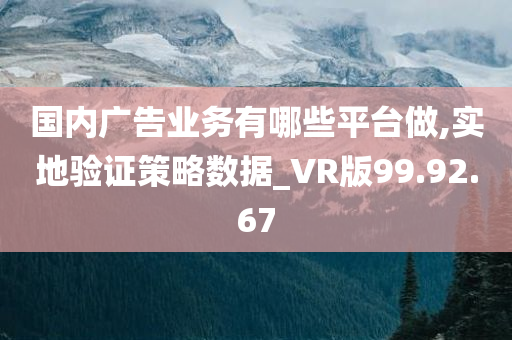 国内广告业务有哪些平台做,实地验证策略数据_VR版99.92.67