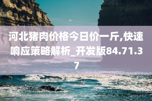 河北猪肉价格今日价一斤,快速响应策略解析_开发版84.71.37