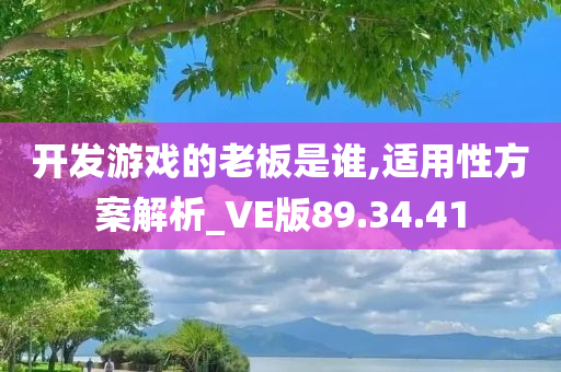 开发游戏的老板是谁,适用性方案解析_VE版89.34.41