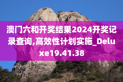 澳门六和开奖结果2024开奖记录查询,高效性计划实施_Deluxe19.41.38