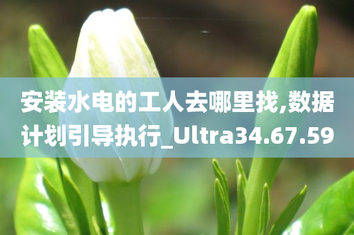 安装水电的工人去哪里找,数据计划引导执行_Ultra34.67.59