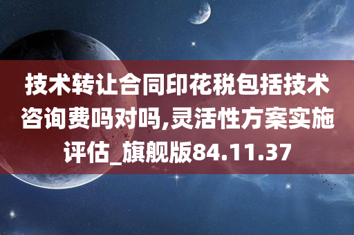 技术转让合同印花税包括技术咨询费吗对吗,灵活性方案实施评估_旗舰版84.11.37