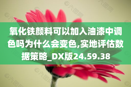 氧化铁颜料可以加入油漆中调色吗为什么会变色,实地评估数据策略_DX版24.59.38