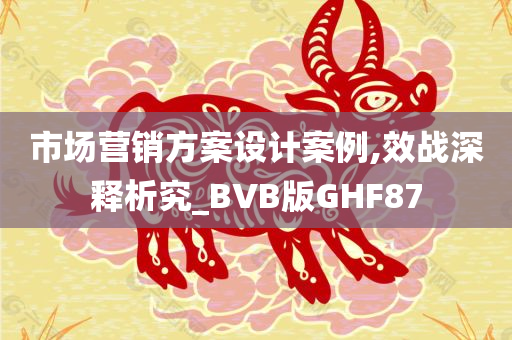 市场营销方案设计案例,效战深释析究_BVB版GHF87