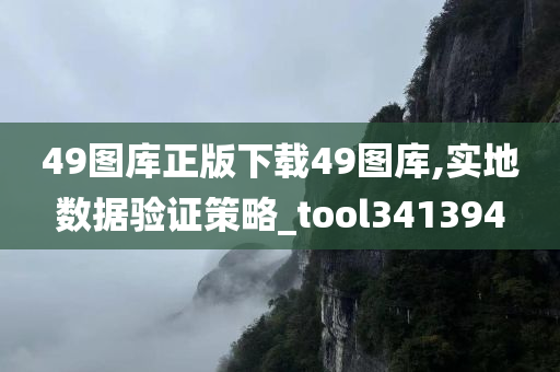 49图库正版下载49图库,实地数据验证策略_tool341394