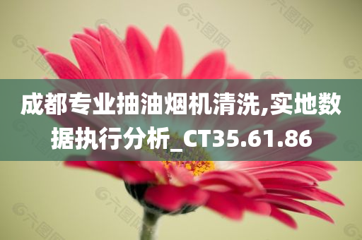 成都专业抽油烟机清洗,实地数据执行分析_CT35.61.86