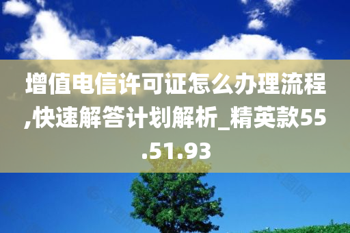 增值电信许可证怎么办理流程,快速解答计划解析_精英款55.51.93