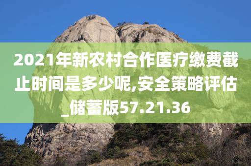 2021年新农村合作医疗缴费截止时间是多少呢,安全策略评估_储蓄版57.21.36