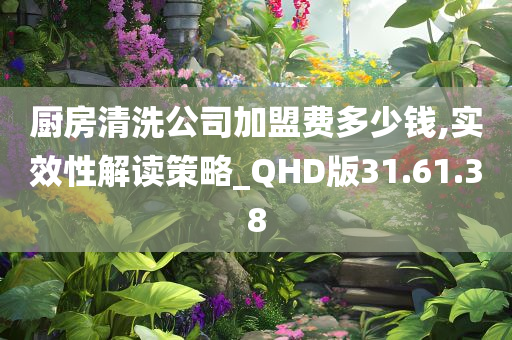 厨房清洗公司加盟费多少钱,实效性解读策略_QHD版31.61.38