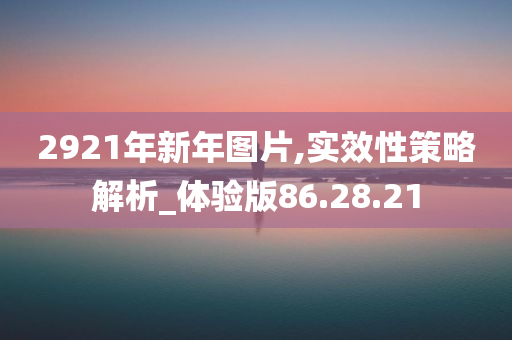 2921年新年图片,实效性策略解析_体验版86.28.21