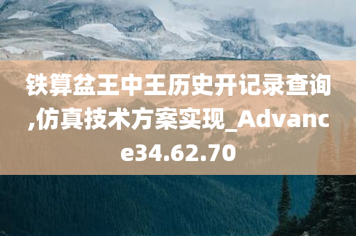 铁算盆王中王历史开记录查询,仿真技术方案实现_Advance34.62.70