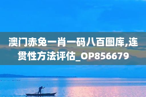 澳门赤兔一肖一码八百图库,连贯性方法评估_OP856679