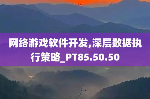 网络游戏软件开发,深层数据执行策略_PT85.50.50