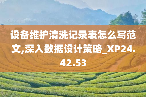 设备维护清洗记录表怎么写范文,深入数据设计策略_XP24.42.53