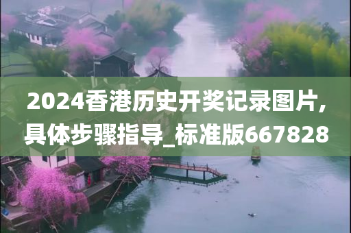 2024香港历史开奖记录图片,具体步骤指导_标准版667828