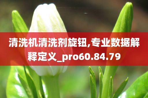 清洗机清洗剂旋钮,专业数据解释定义_pro60.84.79