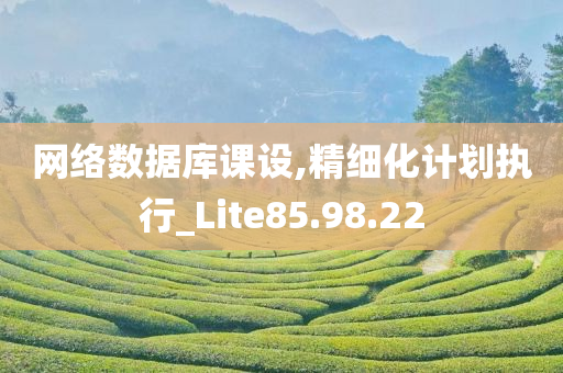 网络数据库课设,精细化计划执行_Lite85.98.22