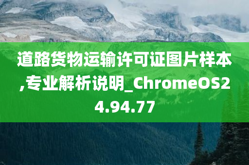 道路货物运输许可证图片样本,专业解析说明_ChromeOS24.94.77