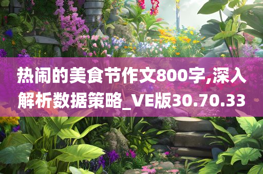 热闹的美食节作文800字,深入解析数据策略_VE版30.70.33